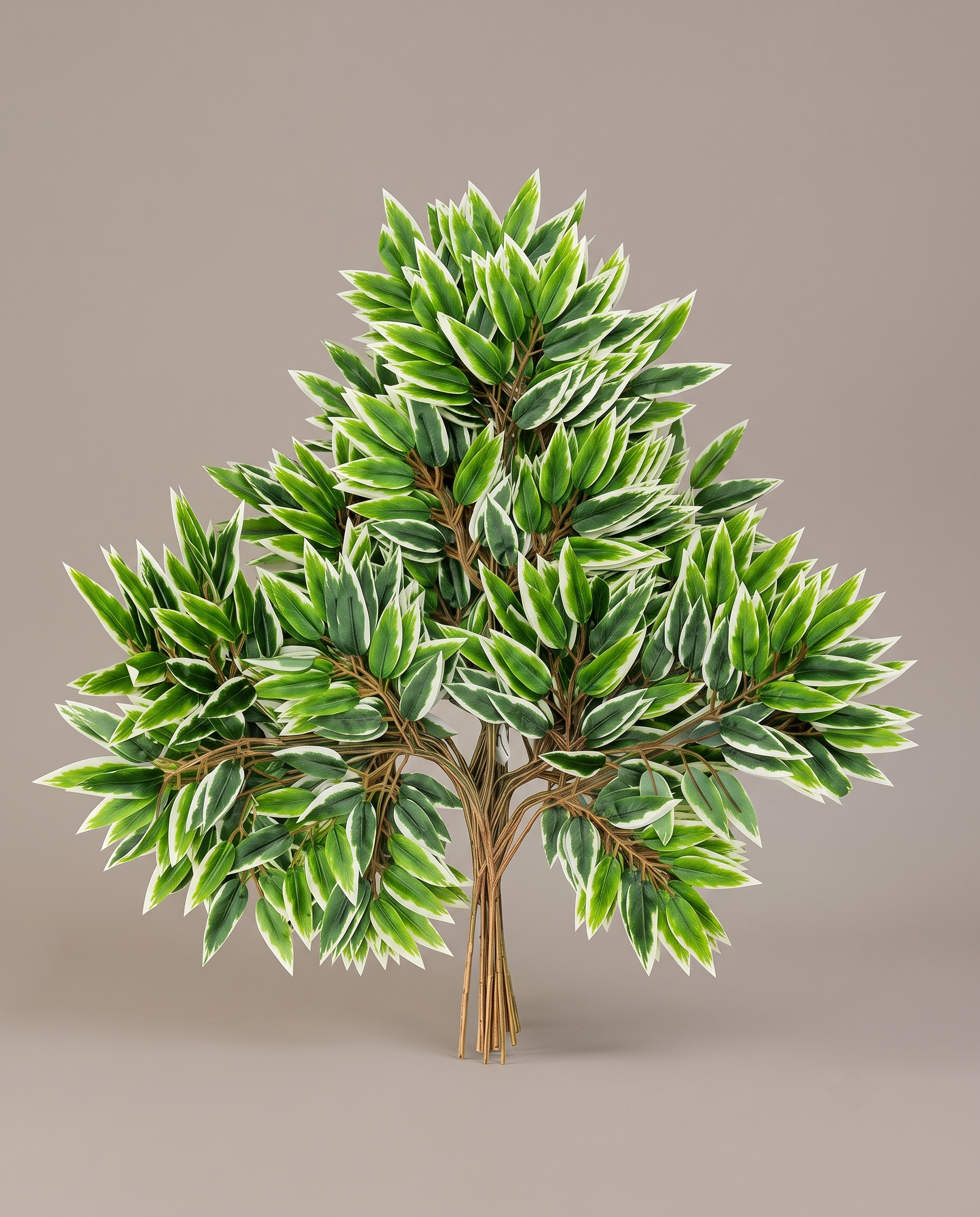Leaves